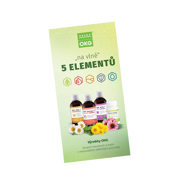 Skládačka - na vlně 5 elementů - bonus